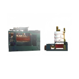 Automatic Screw Oil Press